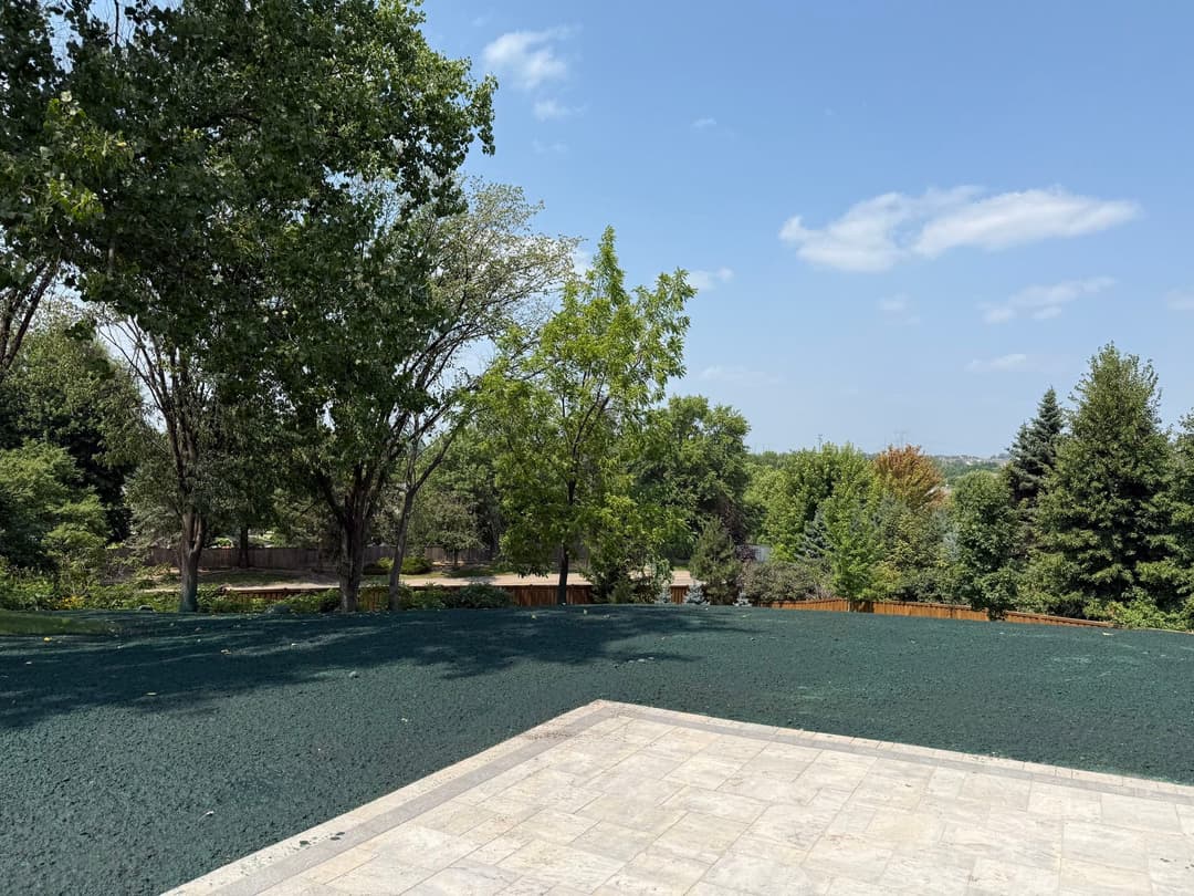 Scenic landscape featuring trees and blue sky with a green rooftop in the foreground.